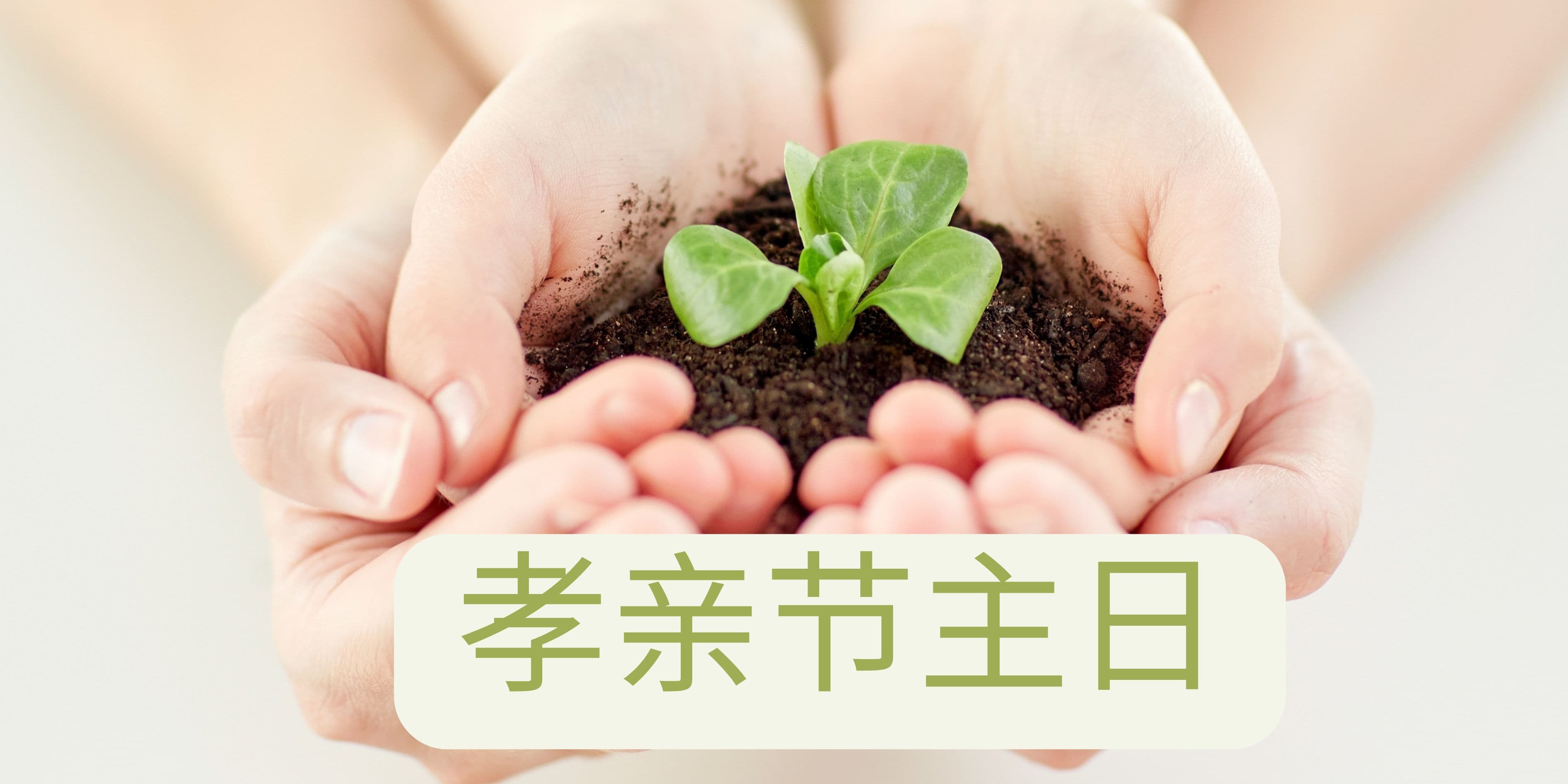 孝亲节主日